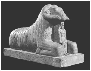 Amun Ram Form