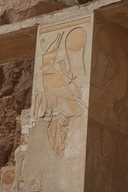 Hatshepsut Female Falcon