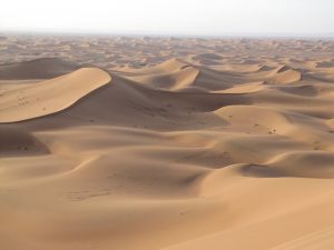 Sands of the Sahara Desert
